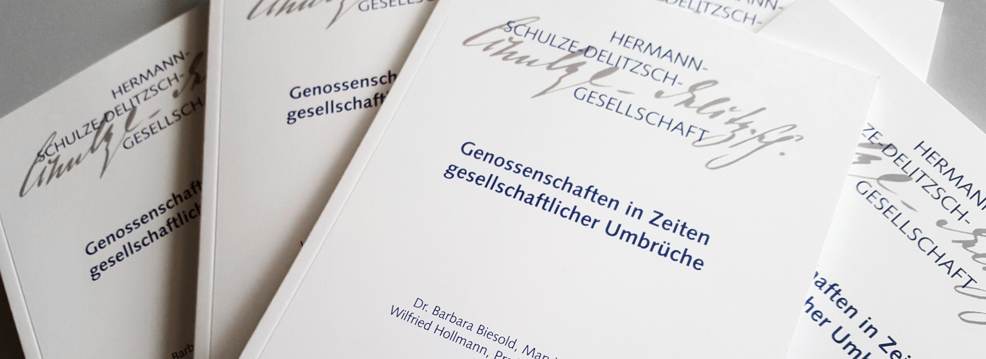 Publikationen des DHSDG